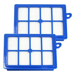 Lot de 2 Filtre Hepa Remplacement pour Aspirateur Electrolux PHILIPS